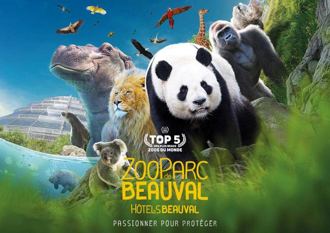 Studio Paon D'Or, 5 Minutes Du Zooparc De Beauval Saint-Aignan  Dış mekan fotoğraf